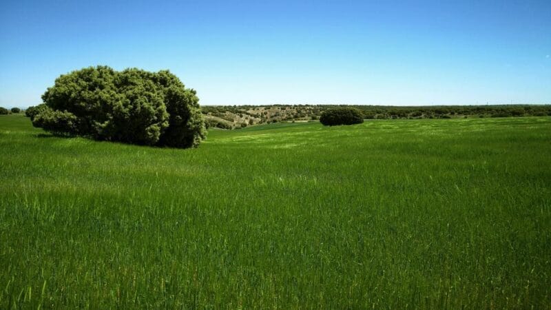 Guía Turística de Medinaceli, Soria: Qué Ver
