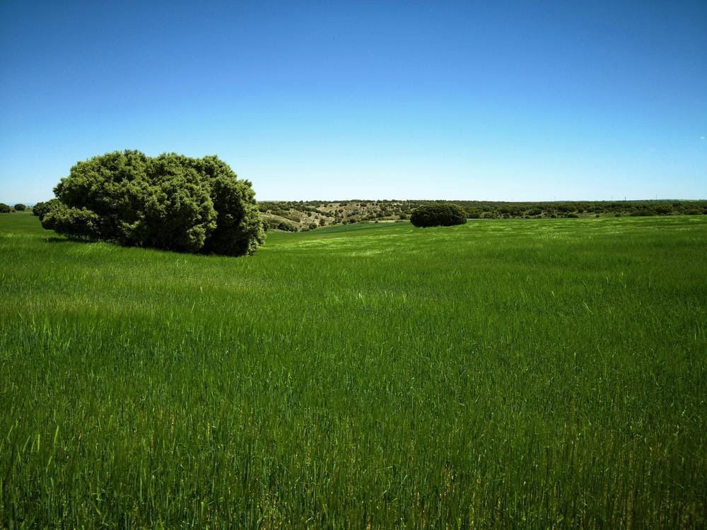 Guía Turística de Medinaceli, Soria: Qué Ver