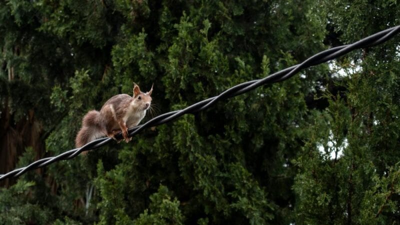 Guía Turística de La Alberca, Salamanca: Qué Ver y Hacer