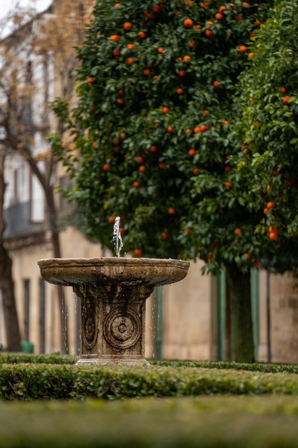 Guía Turística de Úbeda: Lo Mejor que Ver