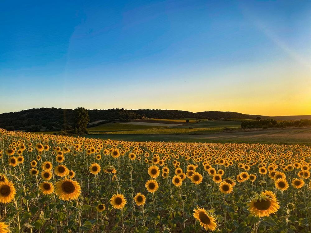 Guía Turística de Calatañazor, Soria: Qué Ver