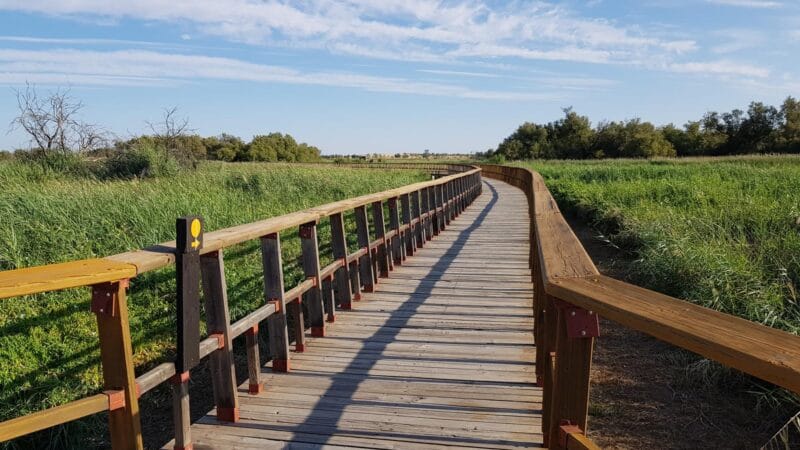 Explorar las Tablas de Daimiel: Rutas y Atracciones Naturales