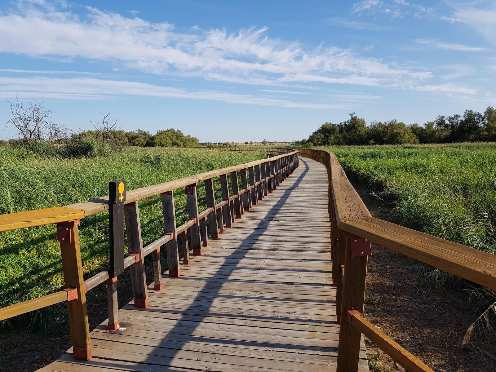 Explorar las Tablas de Daimiel: Rutas y Atracciones Naturales