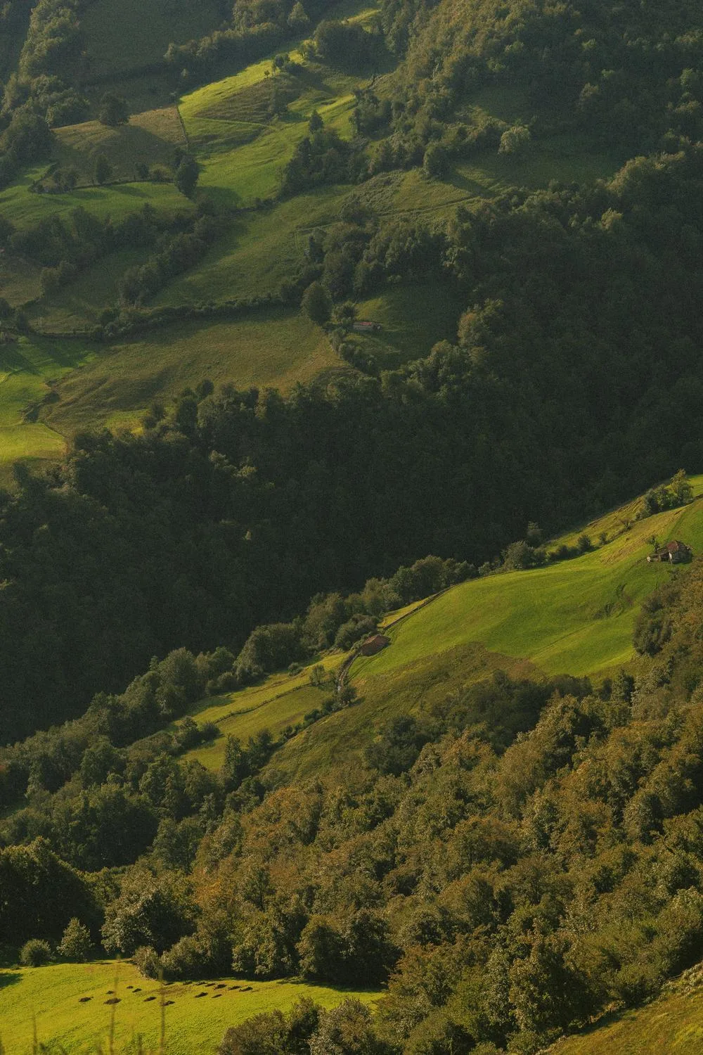 Guía Turística de Mogrovejo, Cantabria: Qué Ver