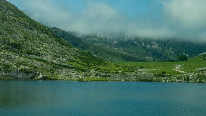 Ruta a los Lagos de Covadonga: Guía Completa